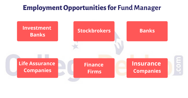 Career As Fund Manager How To Become Courses Job Profile Salary Scope