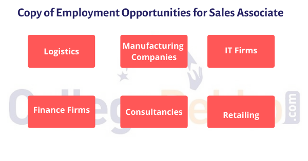 Employment Opportunities for Sales Associate